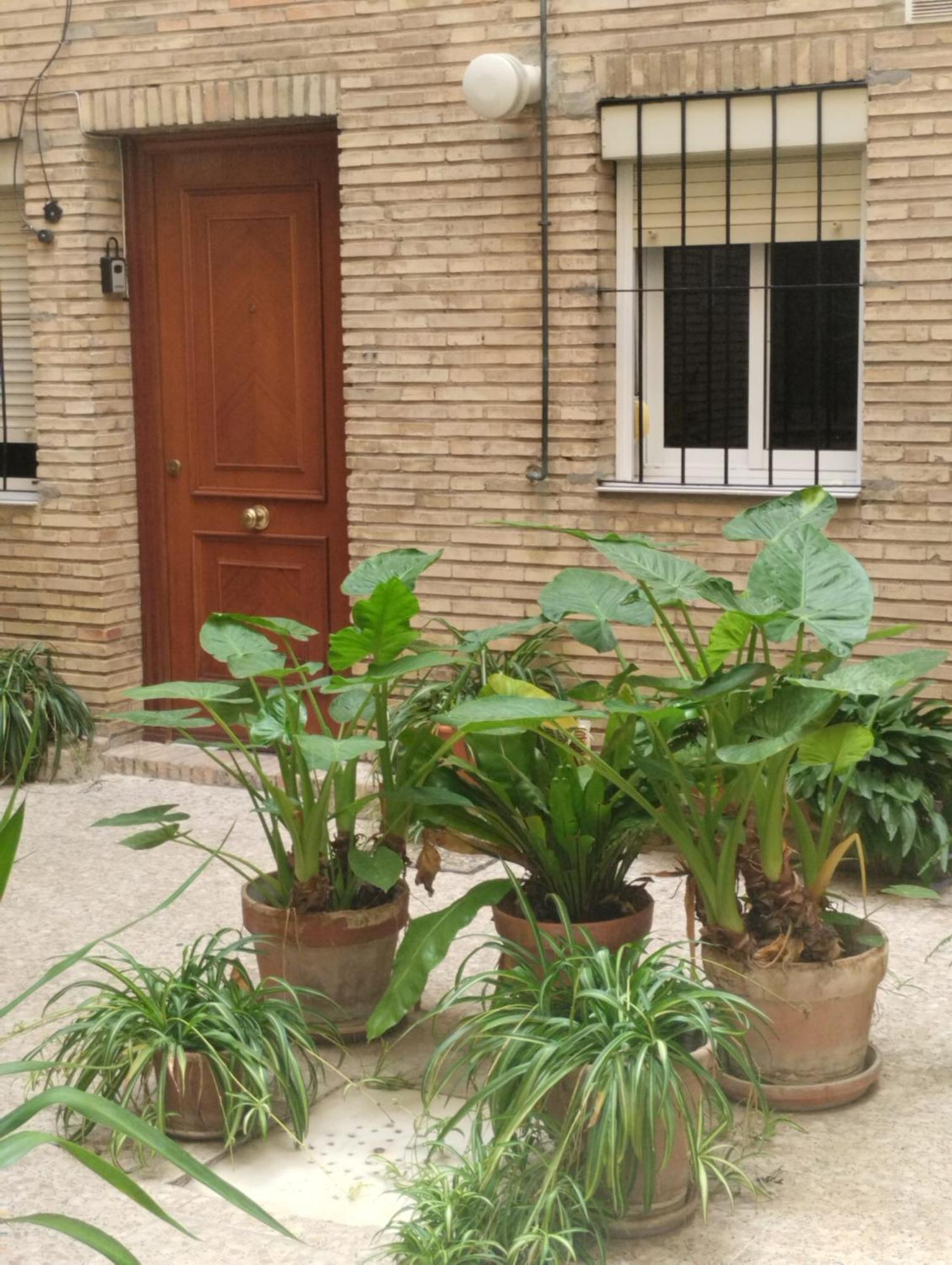 דירות סביליה La Casa De Pepa מראה חיצוני תמונה