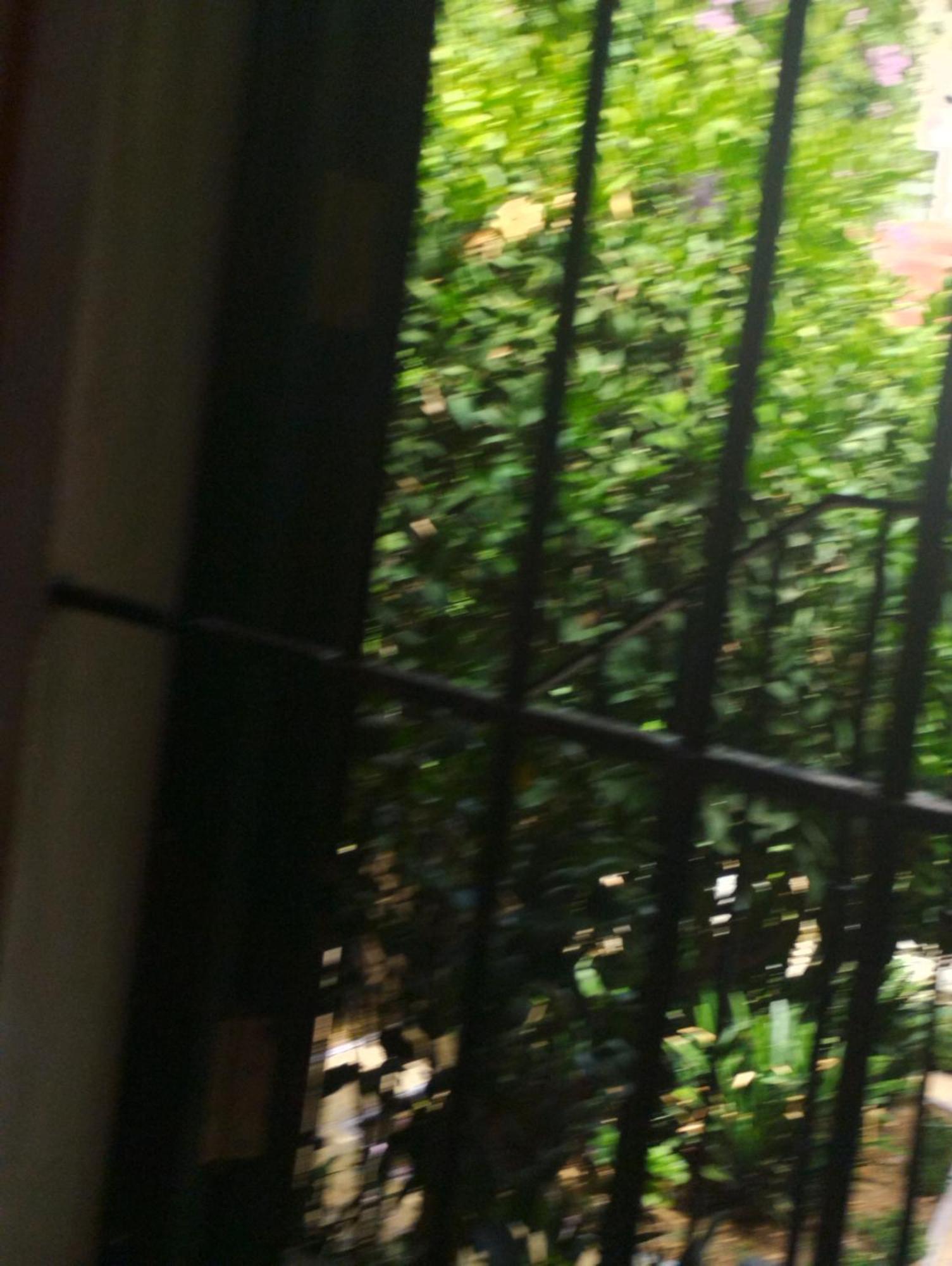 דירות סביליה La Casa De Pepa מראה חיצוני תמונה